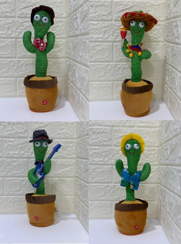 Cactus bailarin con gorritos