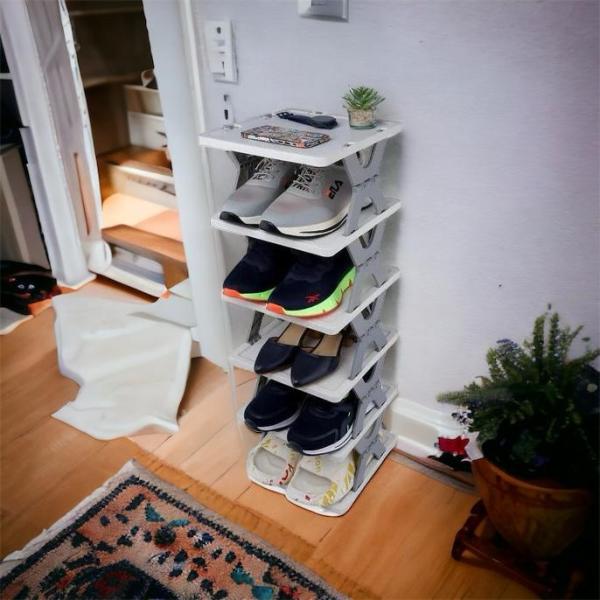 Zapatero Plastico 5 Niveles