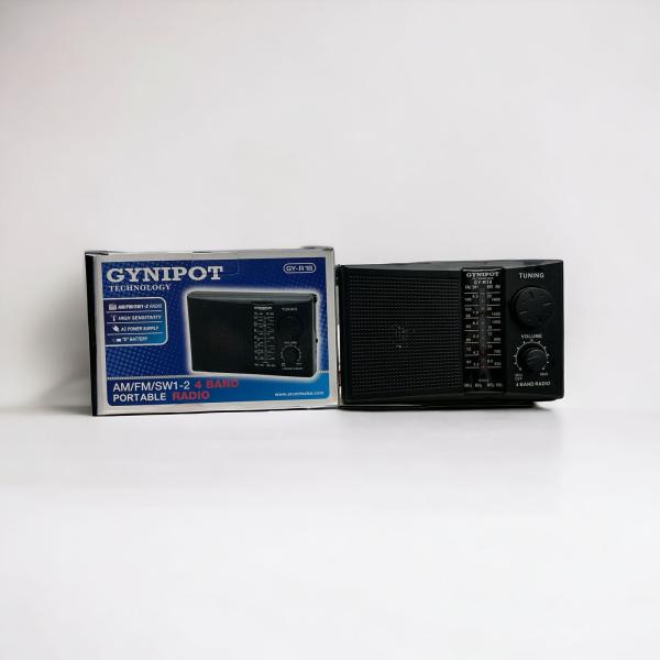 Radio Gynipot GY-R18