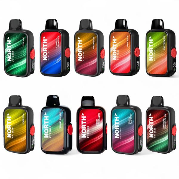 Vape North 12000 Puffs