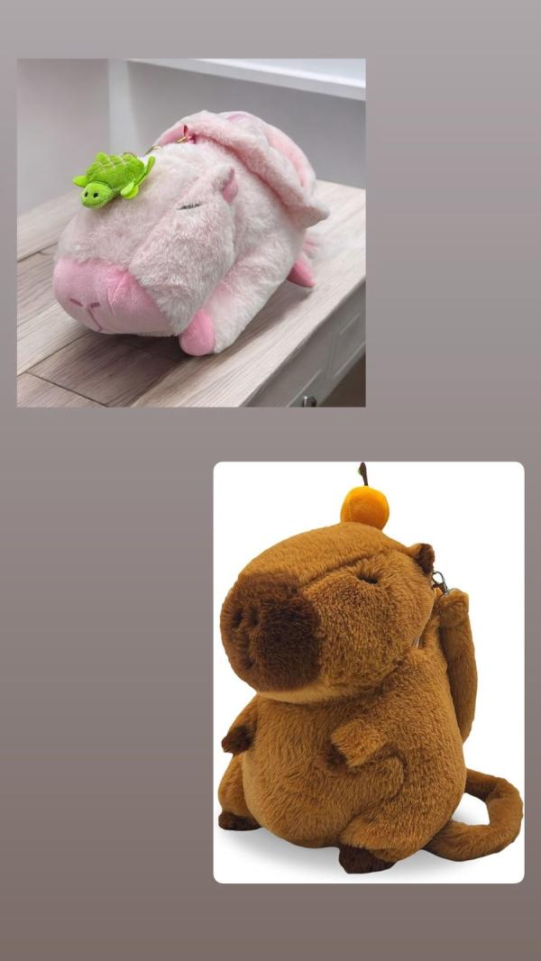 Bolso Peluche Capibara Cruzado